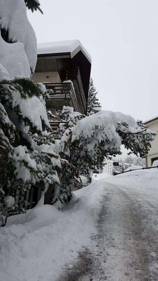 The Closest Location To The City Center And Chairlift Oulx エクステリア 写真